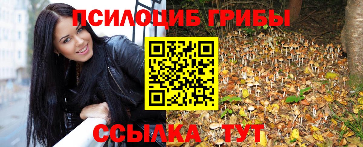 Псилоцибиновые грибы Magic Shrooms  Вход с VPN  Гусь-Хрустальный 