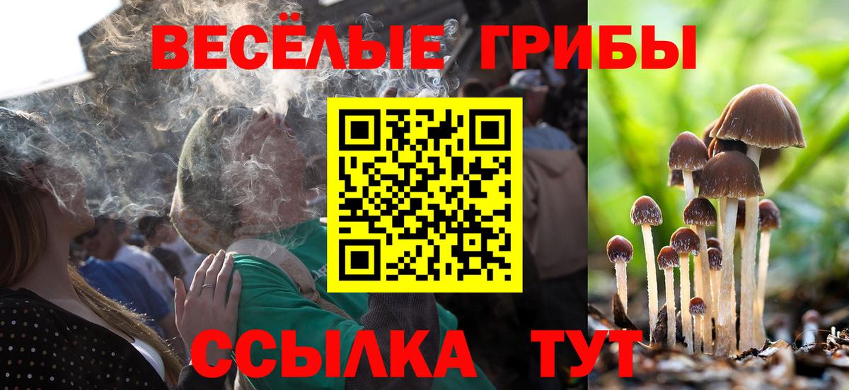 Псилоцибиновые грибы прущие грибы Гусь-Хрустальный